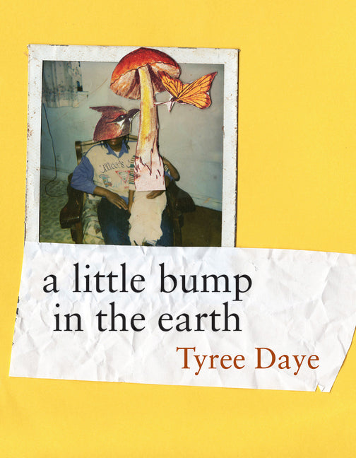 a little bump in the earth /// Tyree Daye